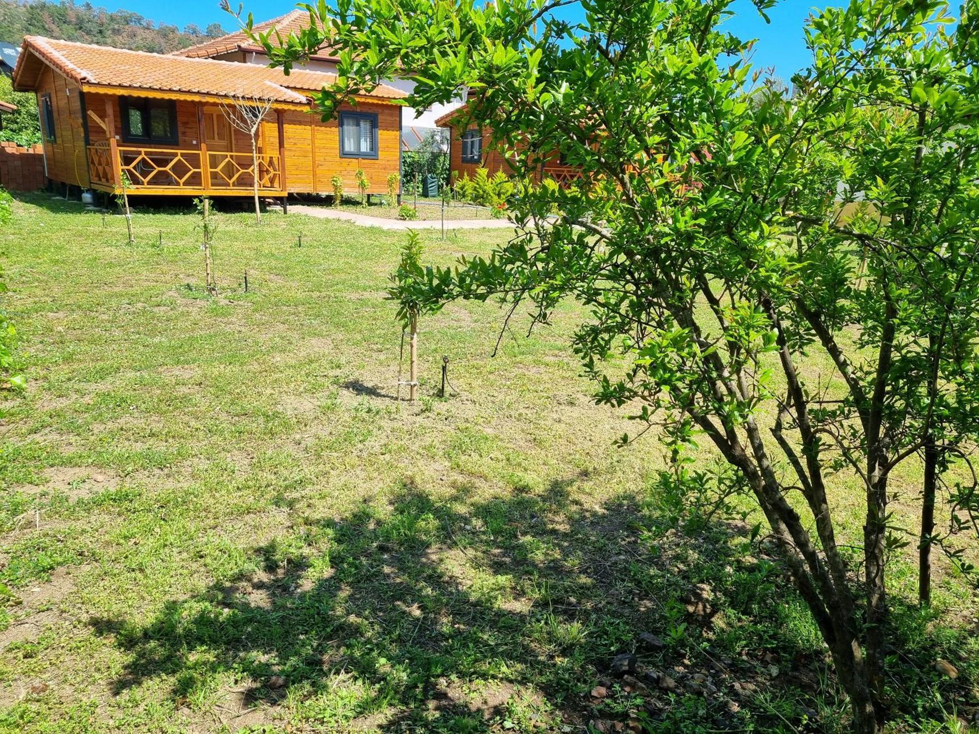 Ugur Pansiyon Bungalows Çıralı Exterior foto